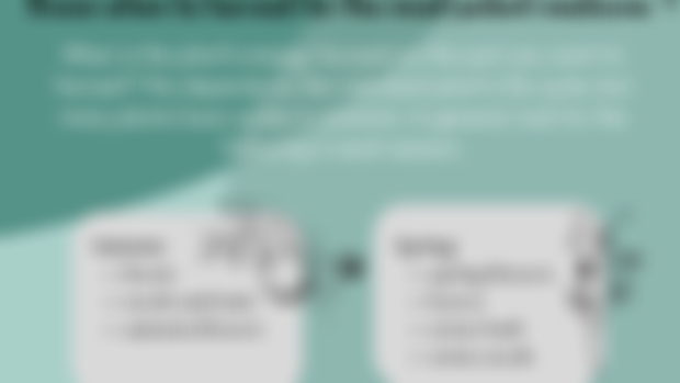 Guide to Seasonal Harvesting