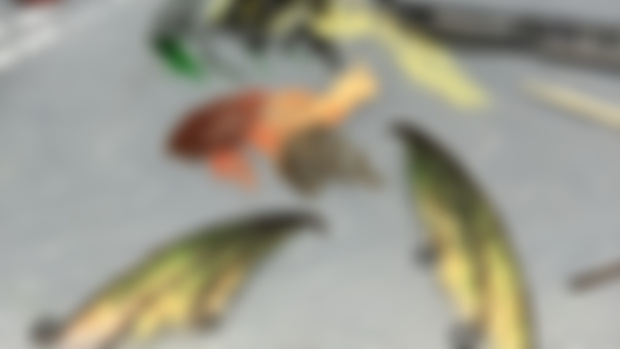 Wings