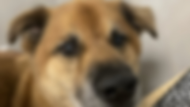 My Protector Has Arrived….