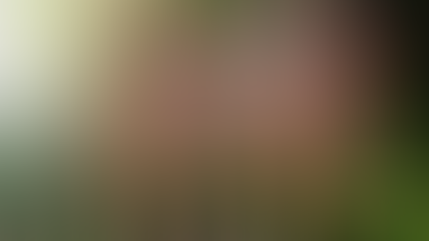Jungle expedition [FINAL + ORIGINAL RENDERS]