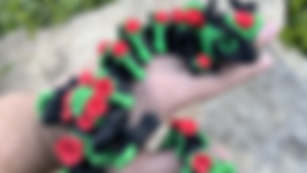 January Model #1 (Rose Dragon)