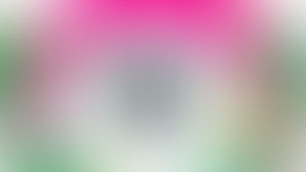 First Impressions – Zenshu