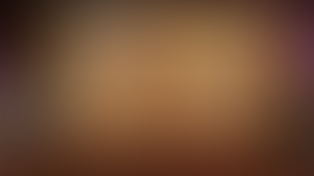 Progress Report - 01/06/2025