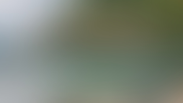 Cinque Terre on film | summer 2021 