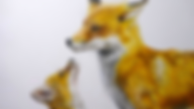 Fox portrait is done!