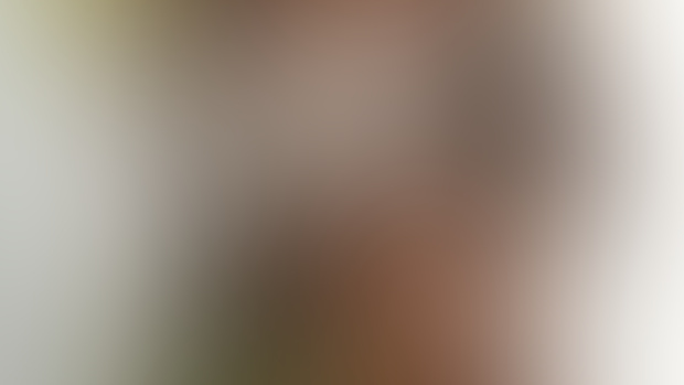 palm // teaser