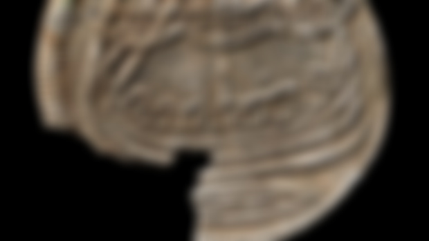 Is this the most unique find at the Skumsnes archeological site?