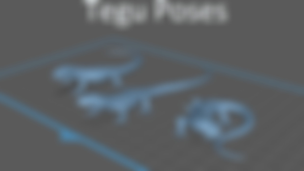 Adult and Juvenile Tegu Files