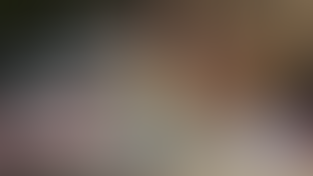Development Progress Update #66