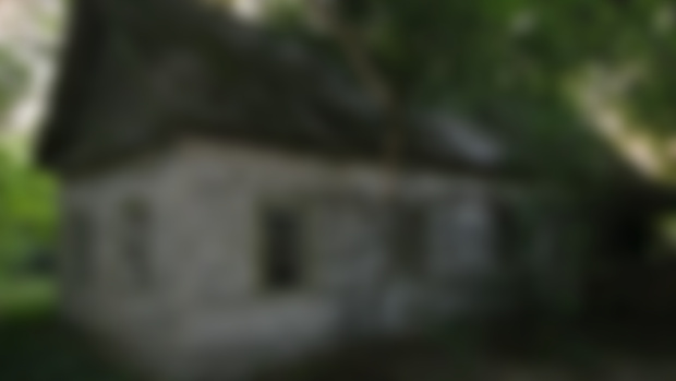 Atmosphere in one of the abandoned villages of the zone near the border with Belarus