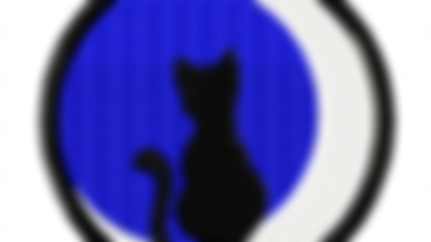 January patch poll winner - Cat with moon!