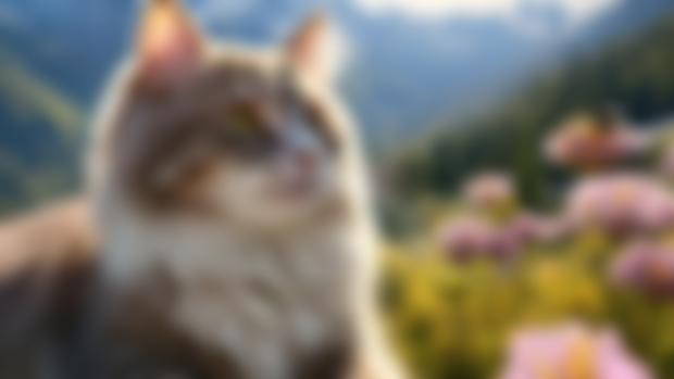 Cat in a Flower Field (Part 3) | Cobalt Class