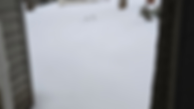Snow days