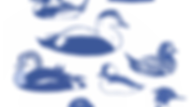 𓅭 Sea Duck WIP 𓅭