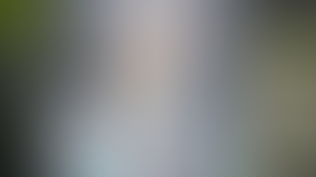 Vimeo videos down atm!  (FIXED)