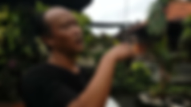 Patron-Only Video: BALI