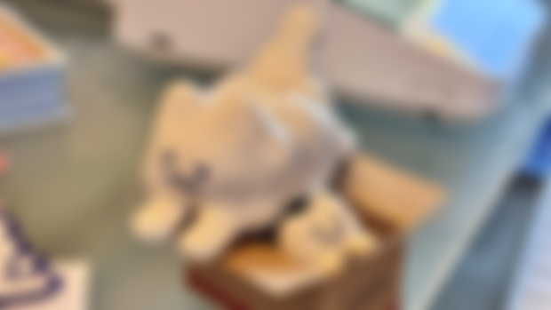 cloud....kitten :D shop will be back open tomorrow i just wanted to show u guys these photos :')