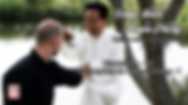 Xingyi Quan & Bagua Zhang - Discussion 40 - Di Guoyong on Bagua Zhang - 1