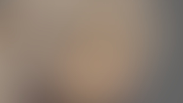 FrierenxHimmel wips 1