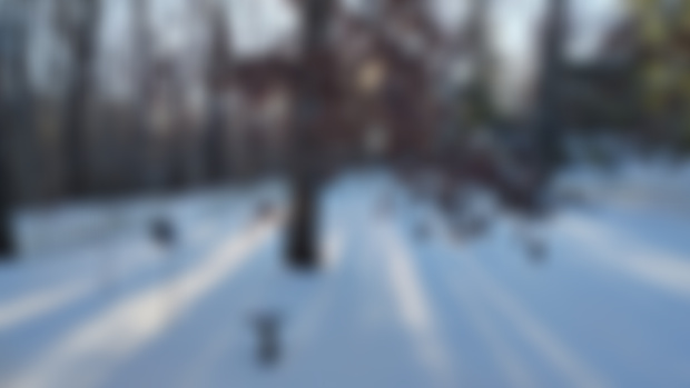 A Ballad of Remex: Winter Begins