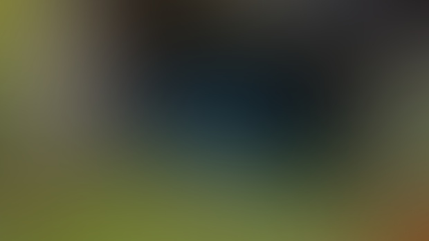 Glowworm Cave 