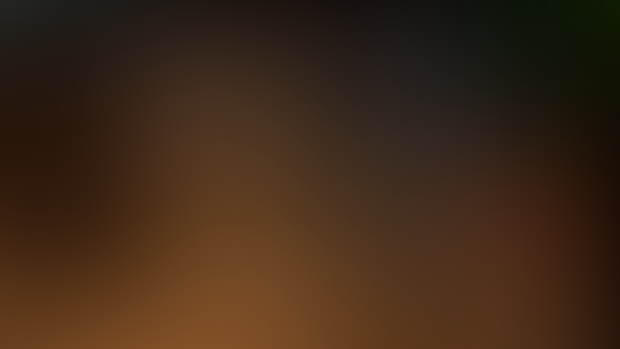 Black Cat Burglary 4K