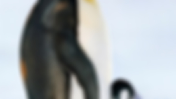 Esta semana en Patreon… This week at Patreon…