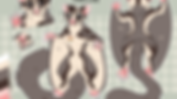 [completed] Ya ever seen a sugarglider? 