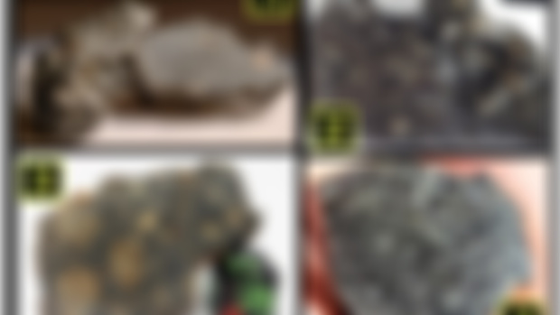 Can you identify the meteorite?