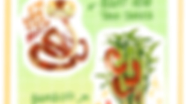 February “Year of the Snake”  Designs 