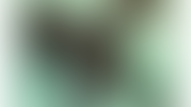 High Res - Outdoor Cookie