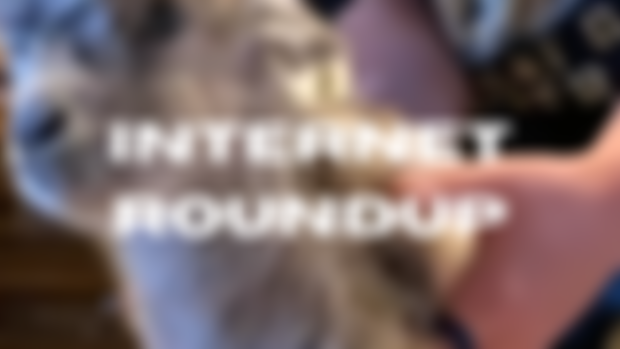 Minisode: Internet Roundup