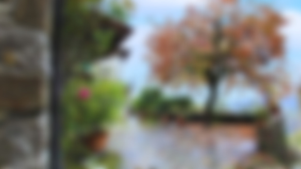 Your Weekly Sneak Peek 🫣