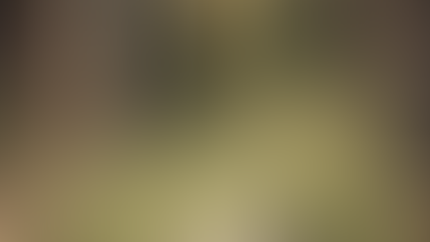 Artisan Megapack (25 + 15)