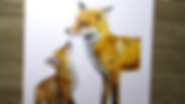 Fox and Baby Final Result