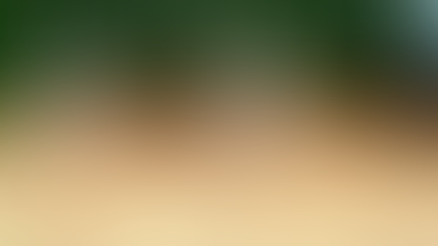 Explosive break [HD/Download]