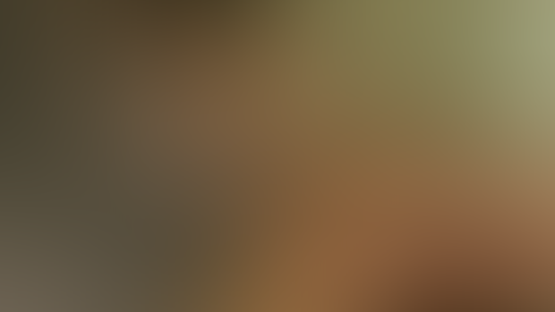 Flame of the Shiranui full scene 30fps