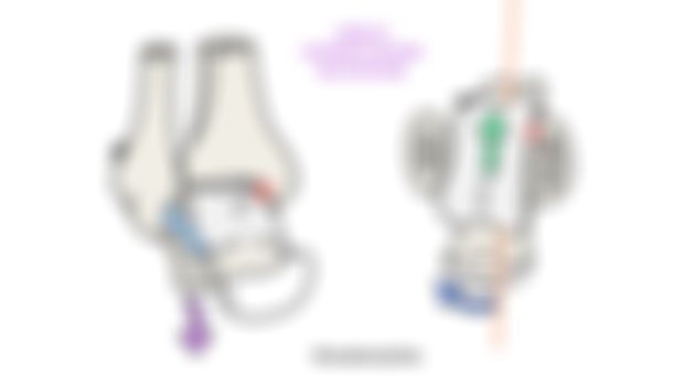 Joint Dysfunction LINKS- Ankle Dorsiflexion Blockage