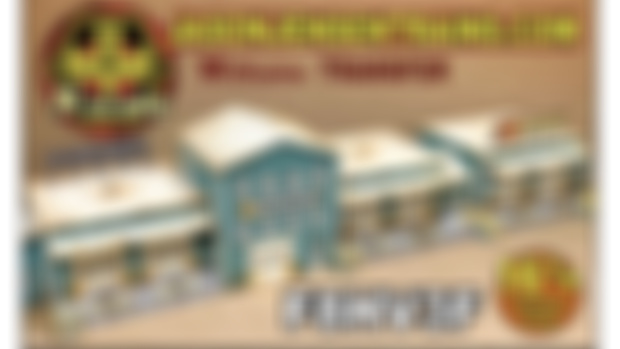 New N scale kit!