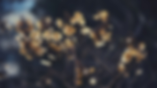 Reminder: Q+A today at 12pm eastern