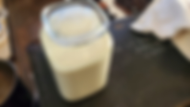 Final Ferment - Yogurt