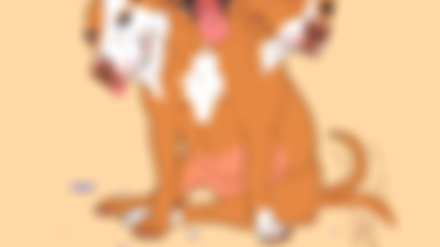 It's Cerberus adoption day!!!