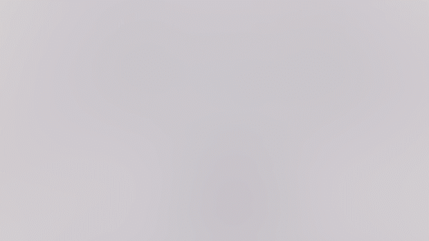 Fox & Wolf - Untitled (Animation) WIP #2