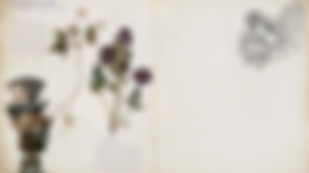 Mysterious Faeries W.I.P - Pages - The Fairy Herbarium ++++ Pages - L'herbier des Fées