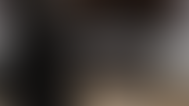 Devlog #35: Catloaves and if statements