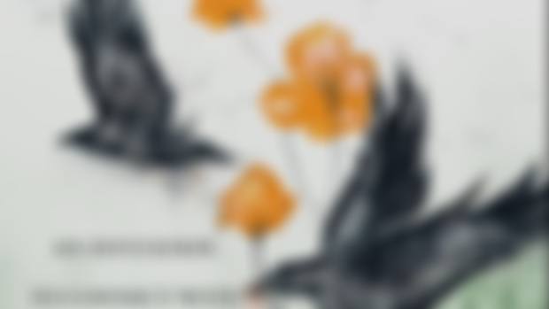 COVER REVEAL!! + Release Date - “Sacred Wild: An Invitation to Connect with Spirits of the Land”