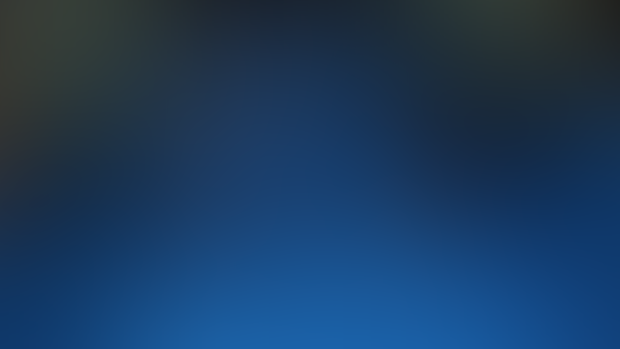 Progress Report | 01/20/2025