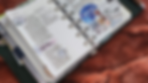 🌿First Pocket Update of 2025 (sneak peek)