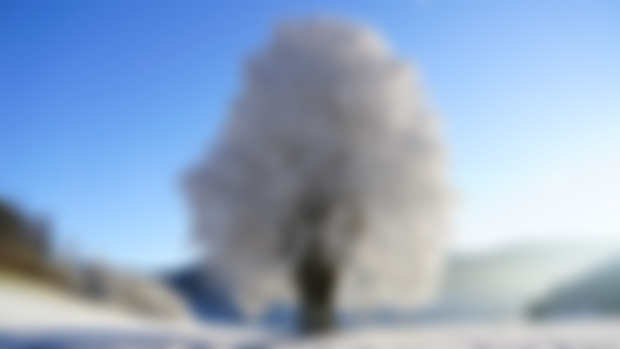 Forteresse d'amour blanche
