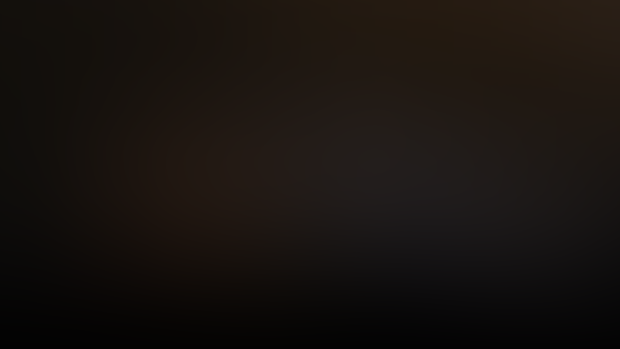 Chapter 2 0.6 Early Access Release